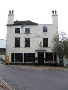 hamp6.jpg
