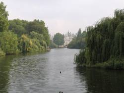 park.jpg