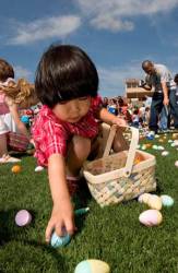 egg1.jpg